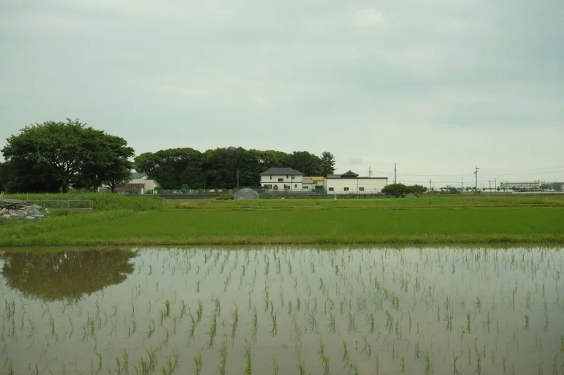 Ten Thousand Dollars and a One-Way Ticket: Americans Are Buying Crumbling Japanese Farmhouses — and Finding Something They Didn't Know They'd Lost