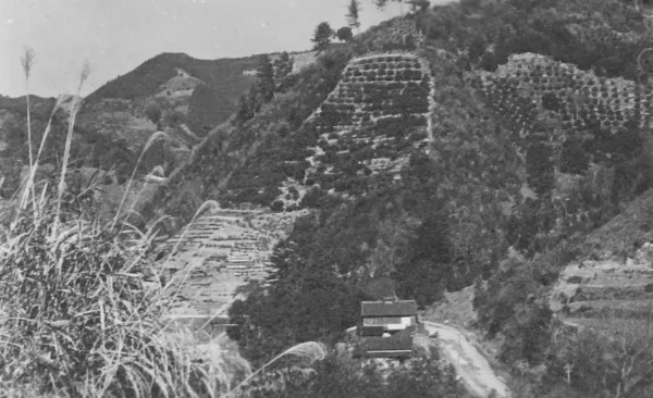 You Can Actually Help Save a Japanese Village — Here's How the Hometown Tax System Works for Americans