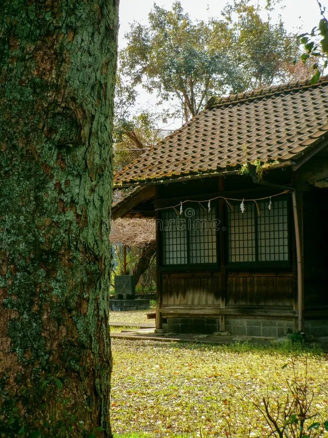 What a Rotting Roof Can Remember: Inside Japan's Abandoned Homes and the Americans Who Won't Let Them Go